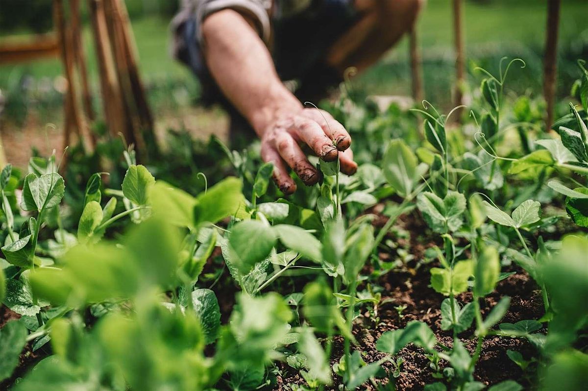 Gardening 101 with Rooted for Good