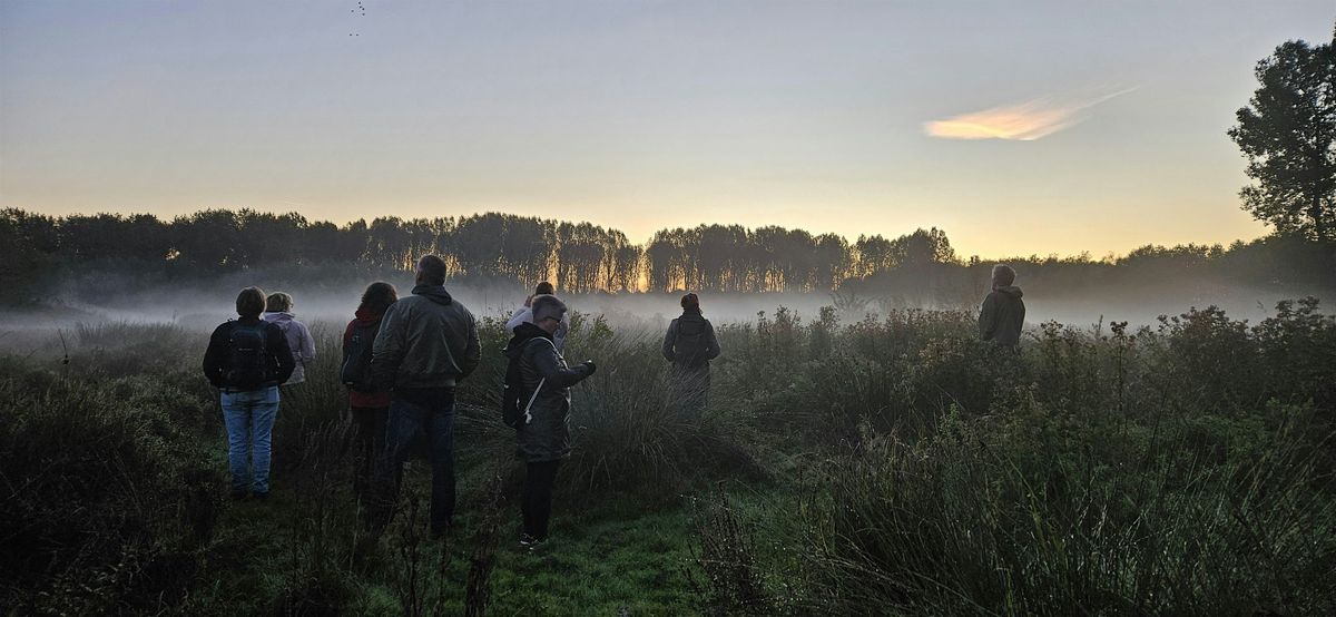 Stiltewandeling zondag 5 oktober, Broekpolder Vlaardingen