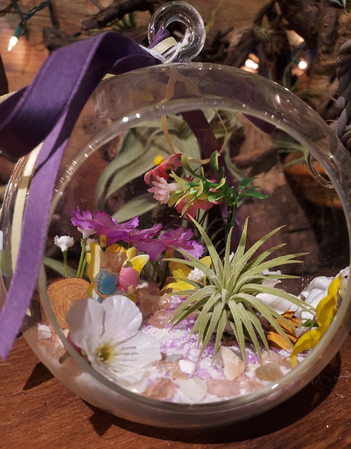 Air Plant Terrarium Class