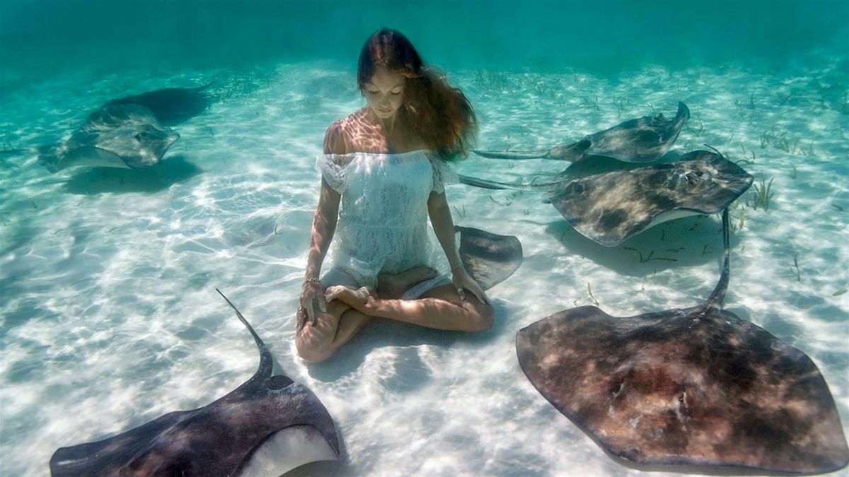 Yoga at the Zoo-Stingray Bay