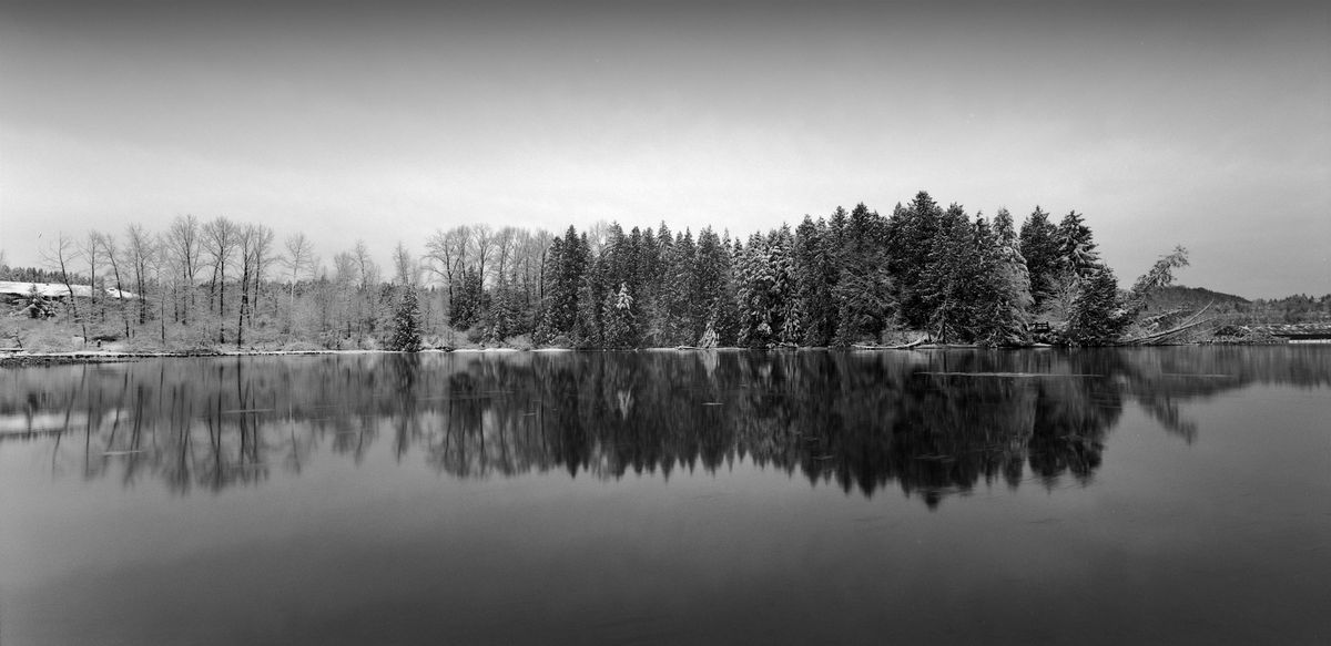Sunday Sunrise Photo Walk on Port Moody\u2019s Inlet Trail, Landscapes, Birds