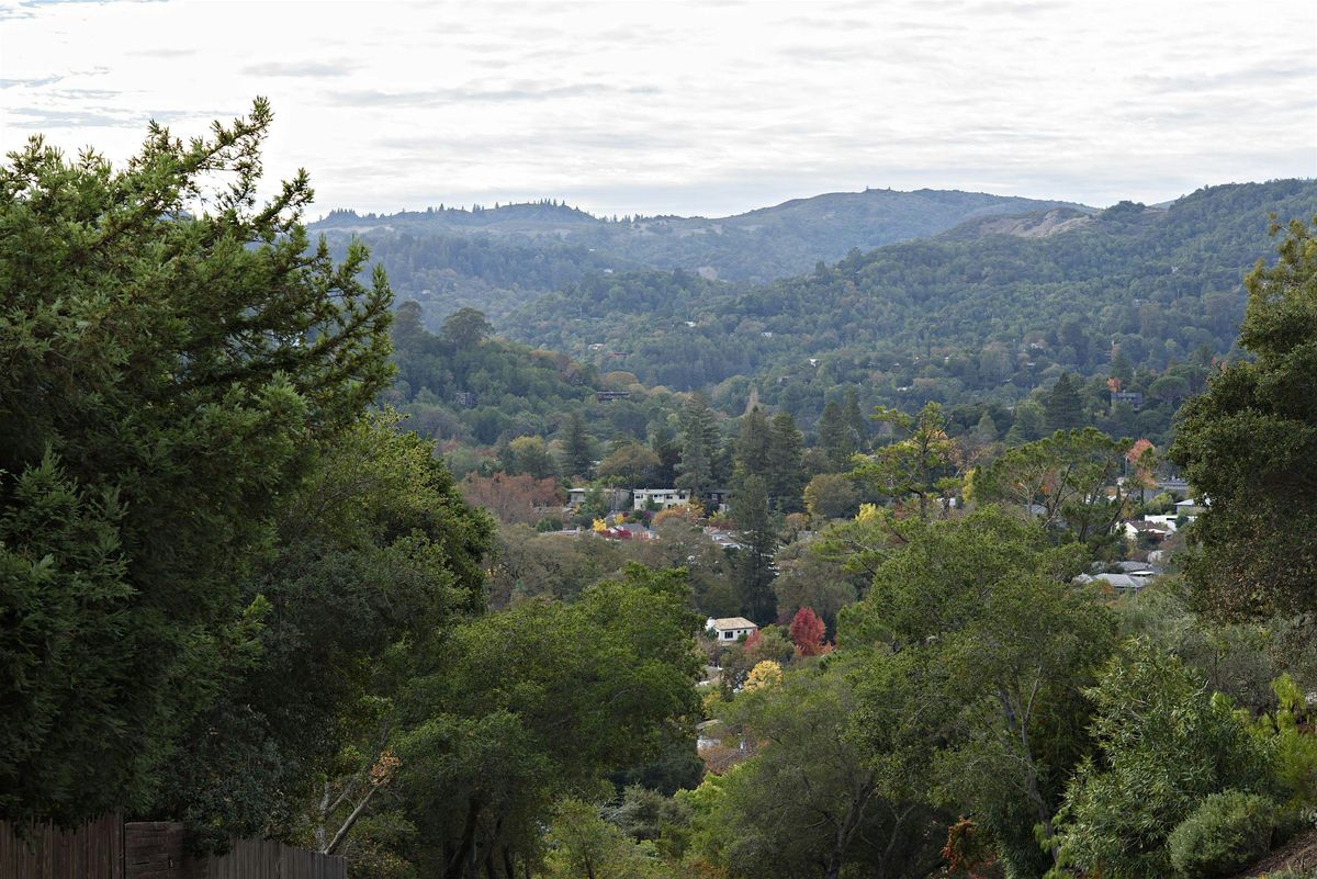 Awesome Scavenger Hunt - Creekside Capers: A Scavenger Hunt in San Anselmo