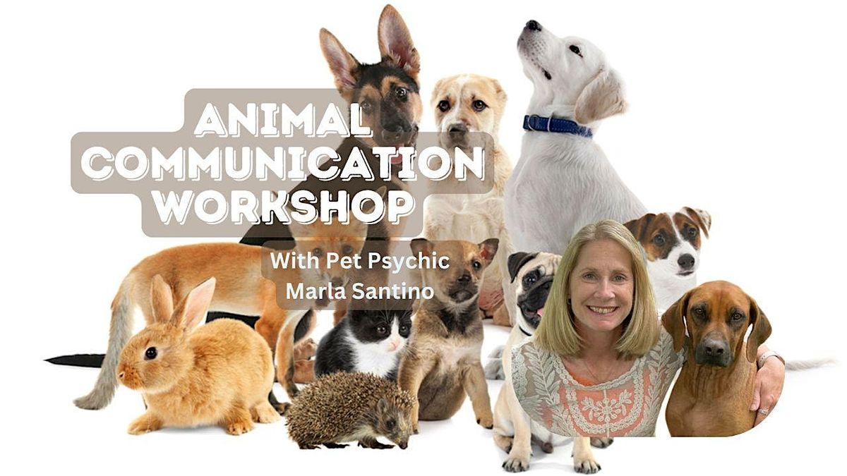 Animal Communication 101: Learning to Communicate With Animals