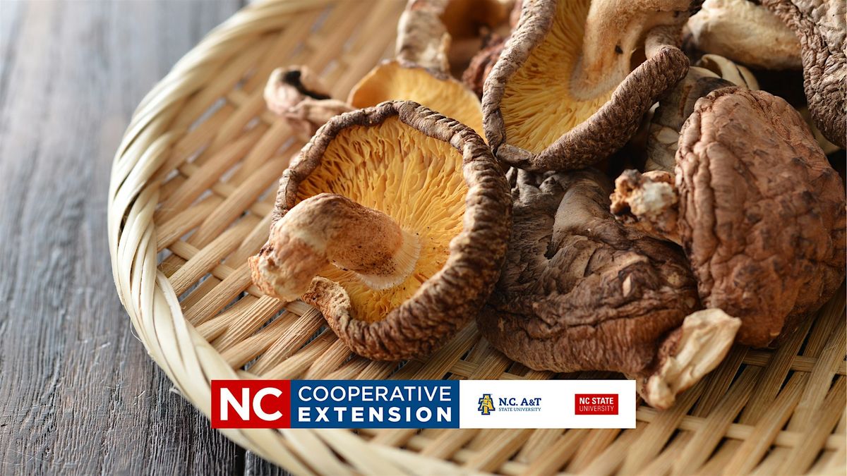 Growing Shiitake Mushrooms