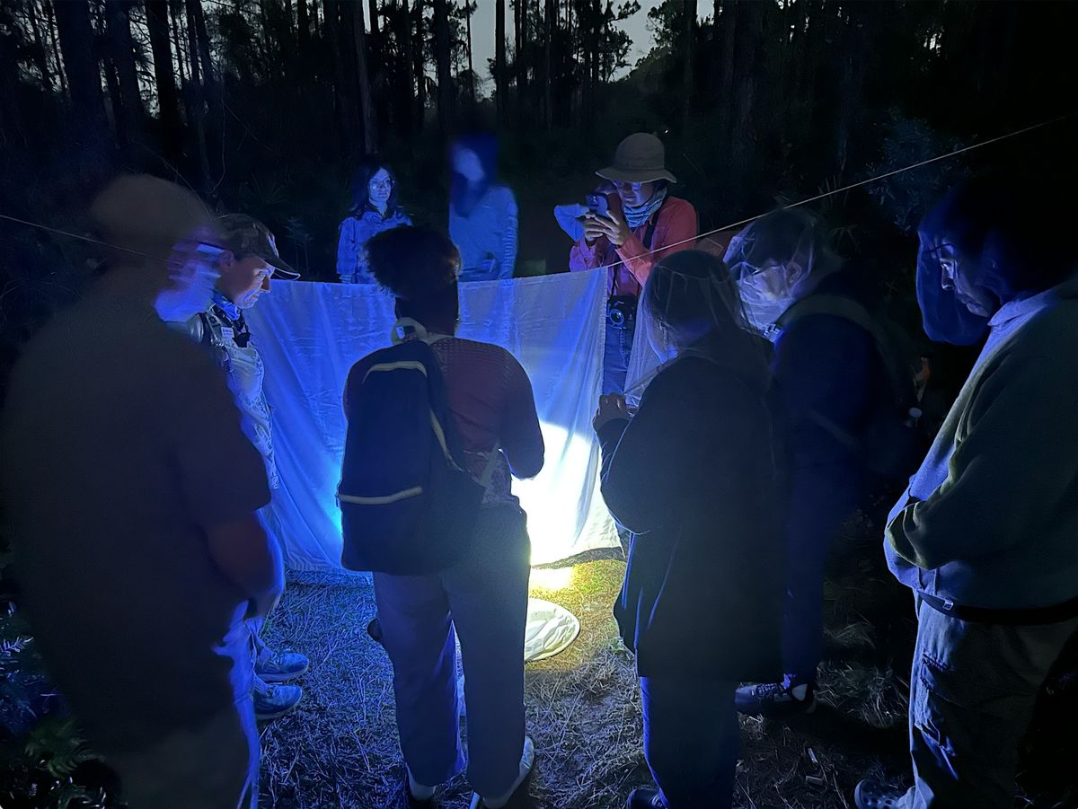 Bug Watch: Strolling Science
