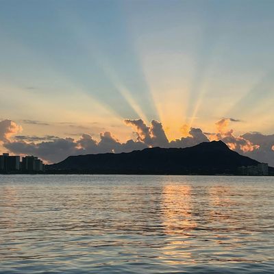 SUNRISE FOUNDATION