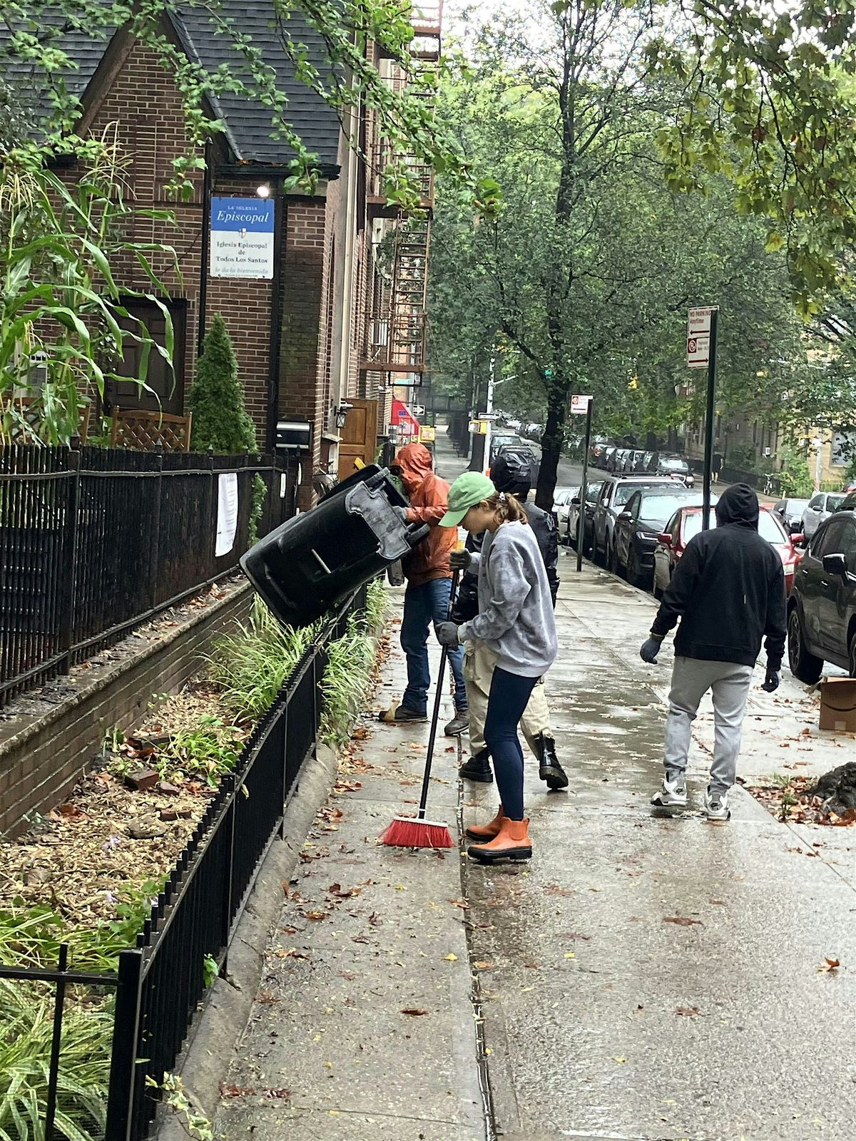 Street Tree Care  w\/ All Saints
