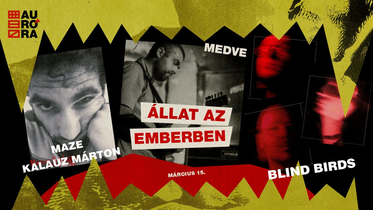 \u00c1LLAT AZ EMBERBEN \/\/ Medve X Maze Kalauz M\u00e1rton X Blind Birds