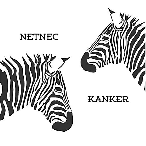 Lotgenotenbijeenkomst Maxima MC, NET centrum Zuid