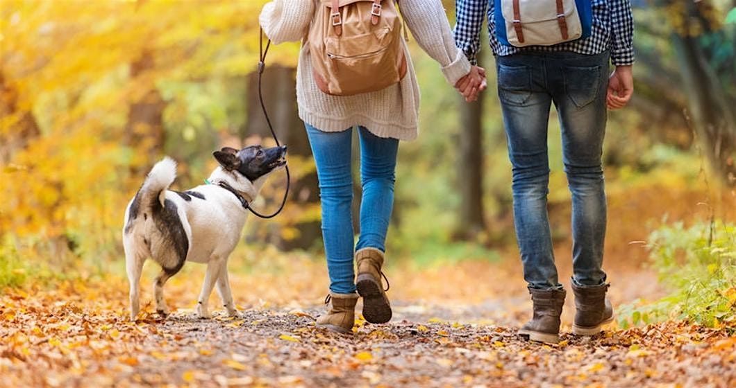 WVLT 1st Wednesdays Dog Walk - November