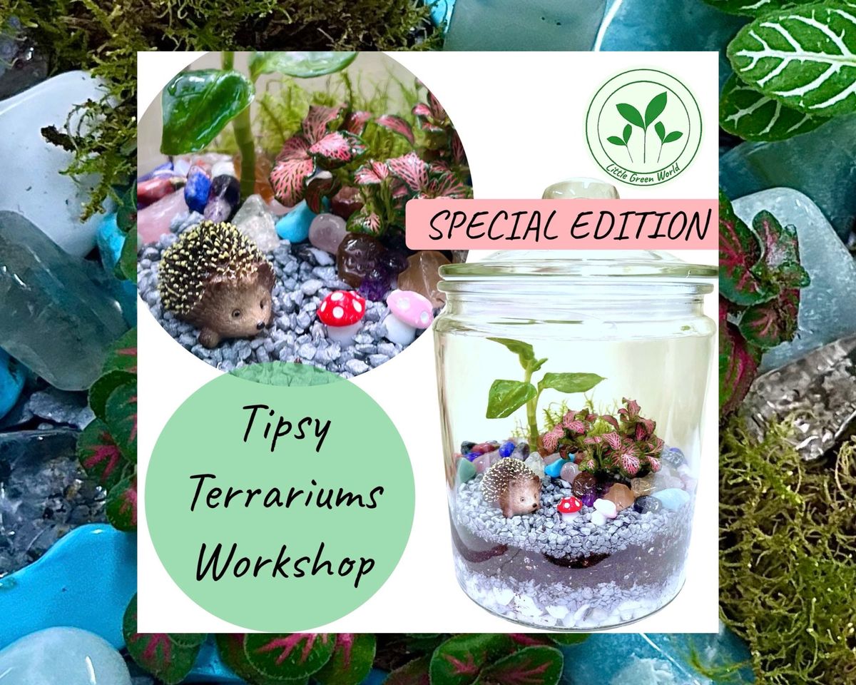 Special Edition- Tipsy Terrariums Workshop