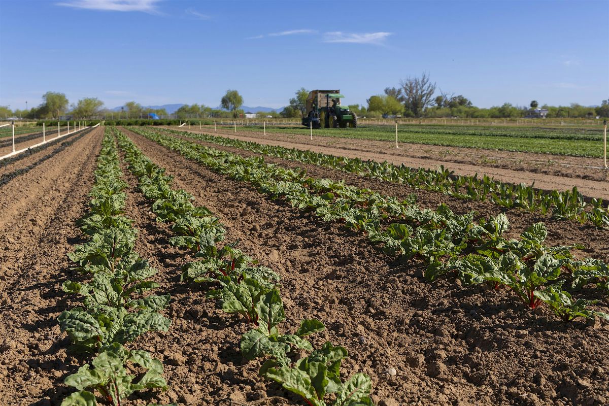 Growing Organic: Field Day at Blue Sky Organic Farms