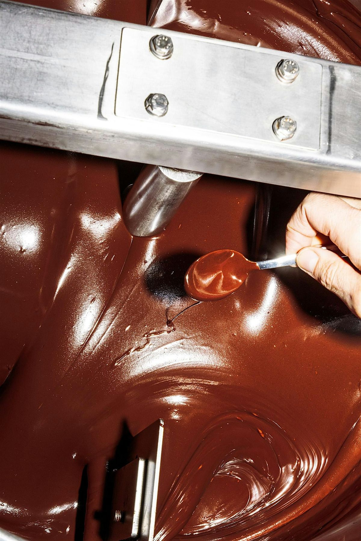 Schoggisafari \u2013\u00a0Chocolate Factory Tour (english)