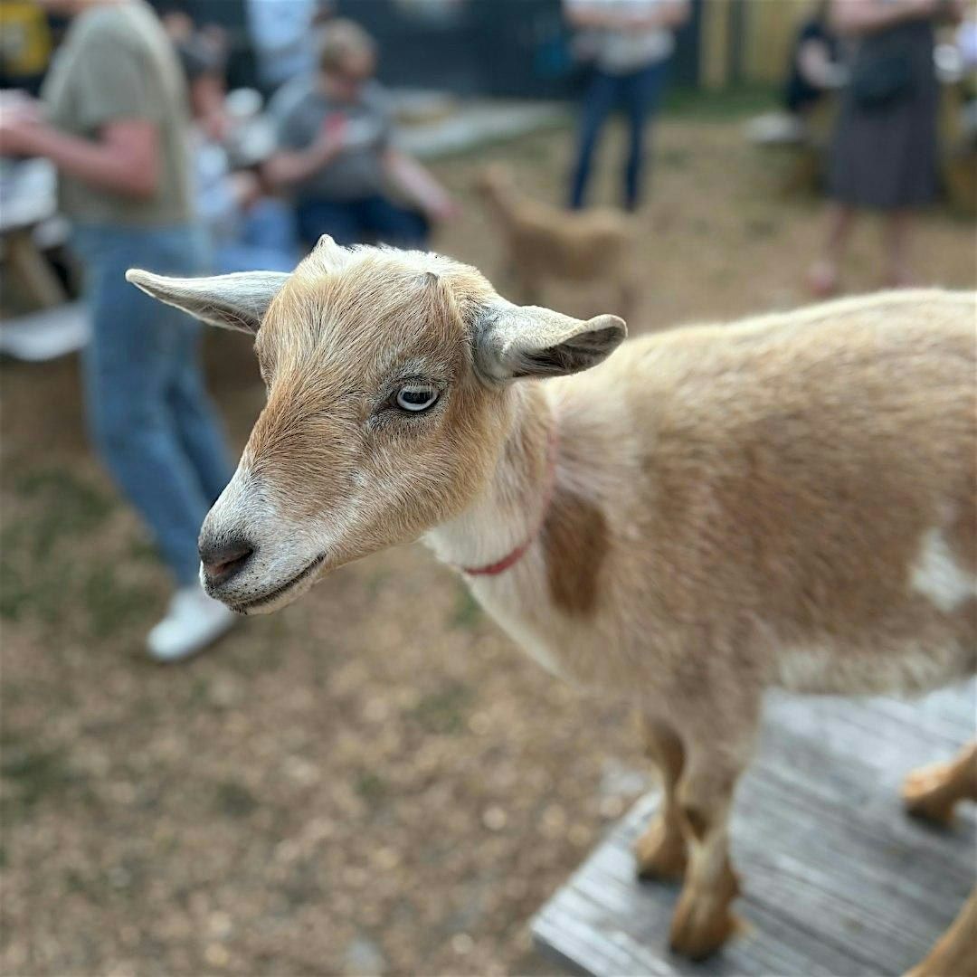September Goat Social Hour