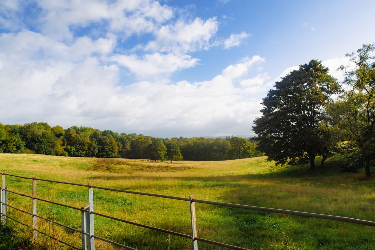 The Ultra Loop | Heaton Park | 8 Hour Running Event