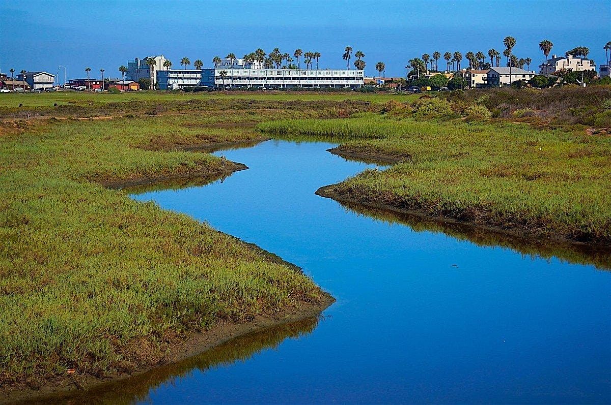 BWA San Diego: Walk the Tijuana River Estuary