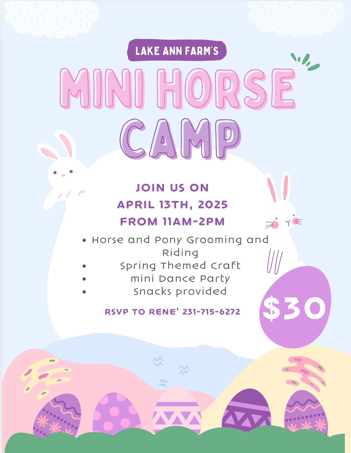 Mini Horse Camp