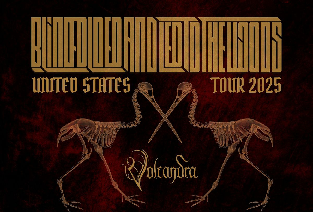 BLINDFOLDED AND LED TO THE WOODS | VOLCANDRA
