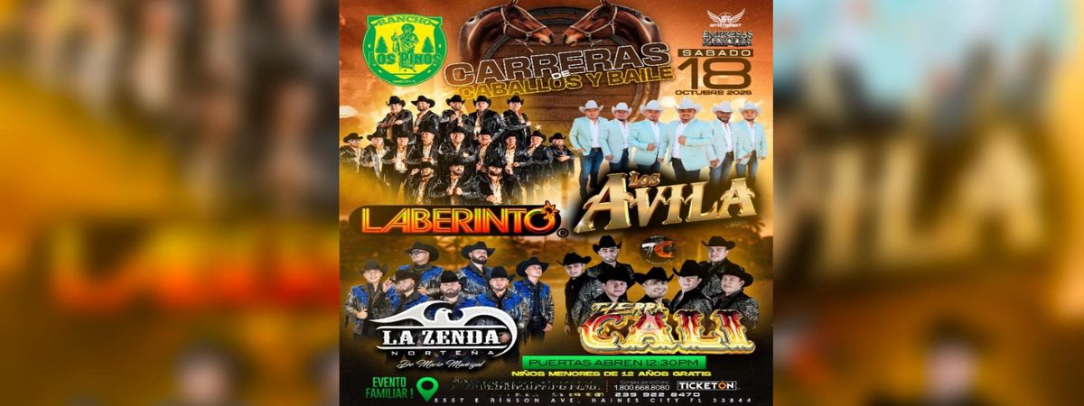 LABERINTO, LOS AVILA & MAS