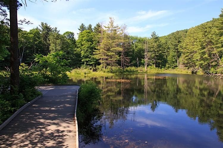 Q-MoB Easy Hike:  Pleasant Valley Wildlife Refuge (Lenox, MA)