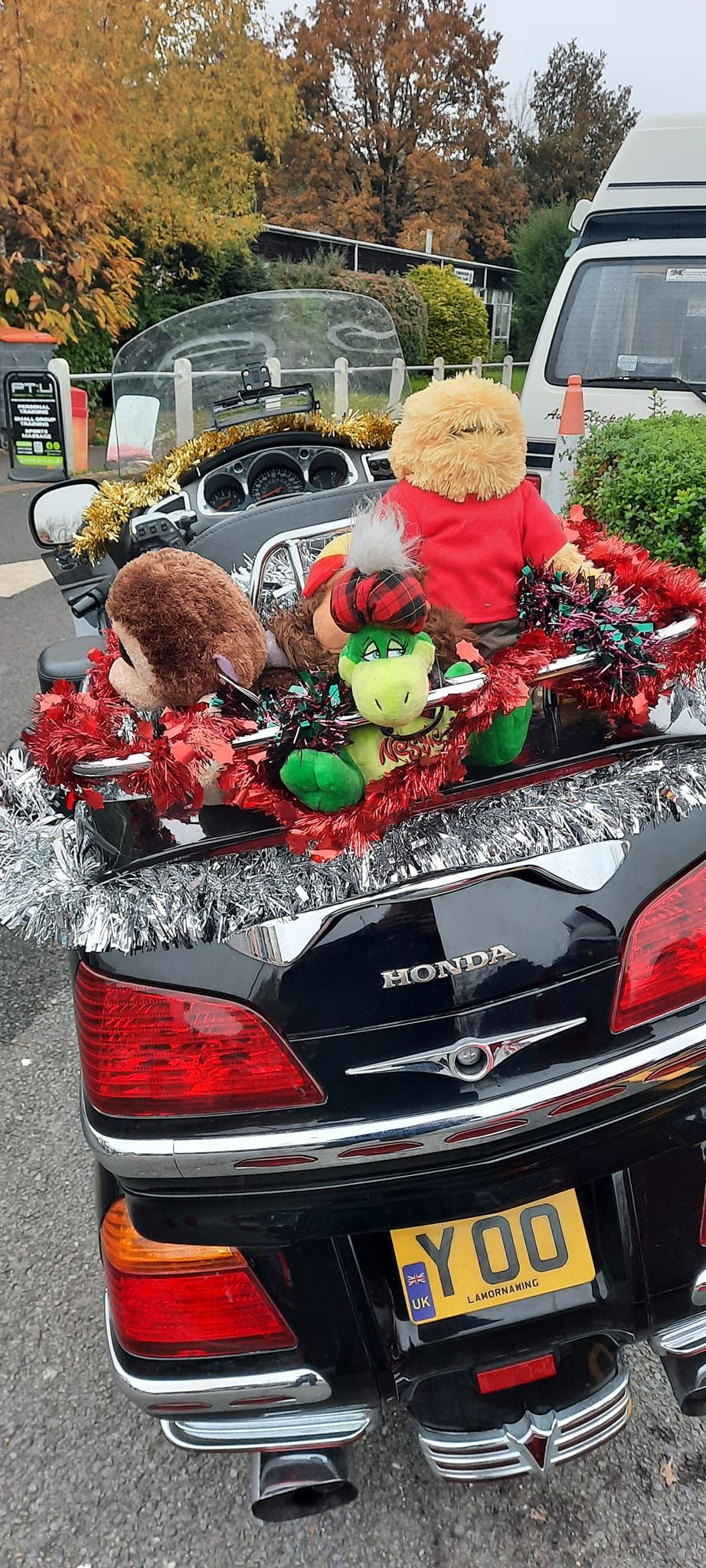 Windsor toy run