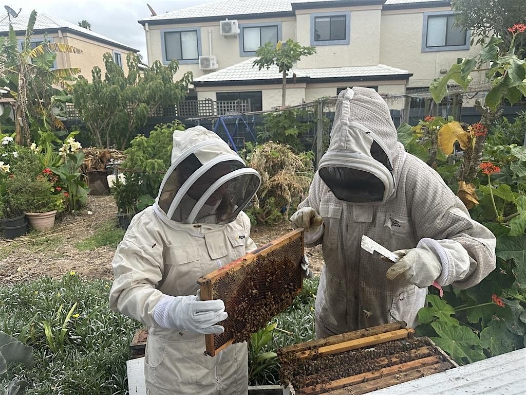 Introduction to Beekeeping class 7th\/8th March 2026  - for 15yrs+.