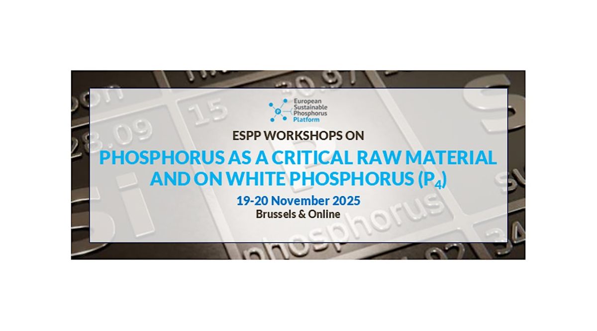 Workshop "Phosphorus as a Critical Raw Material and White Phosphorus (P4)"