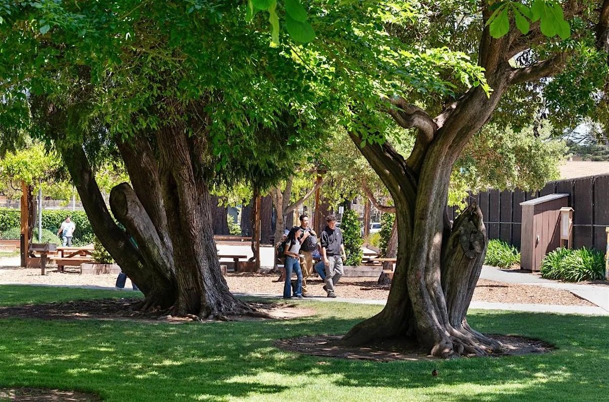 Burlingame's Progress on Climate Action