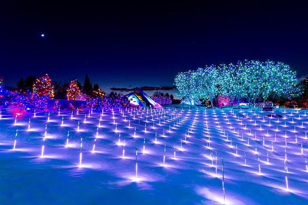 Illuminate the Season: Sober Outdoors at Blossoms of Light