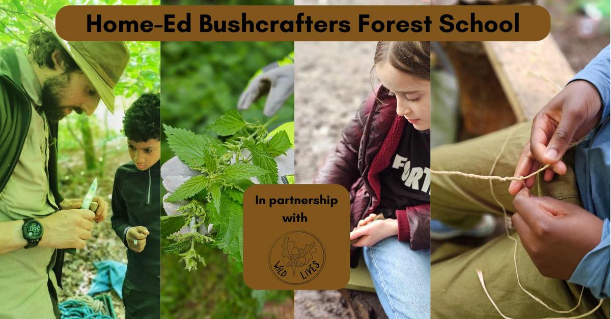 Home-Ed Bushcrafters Forest School Sessions