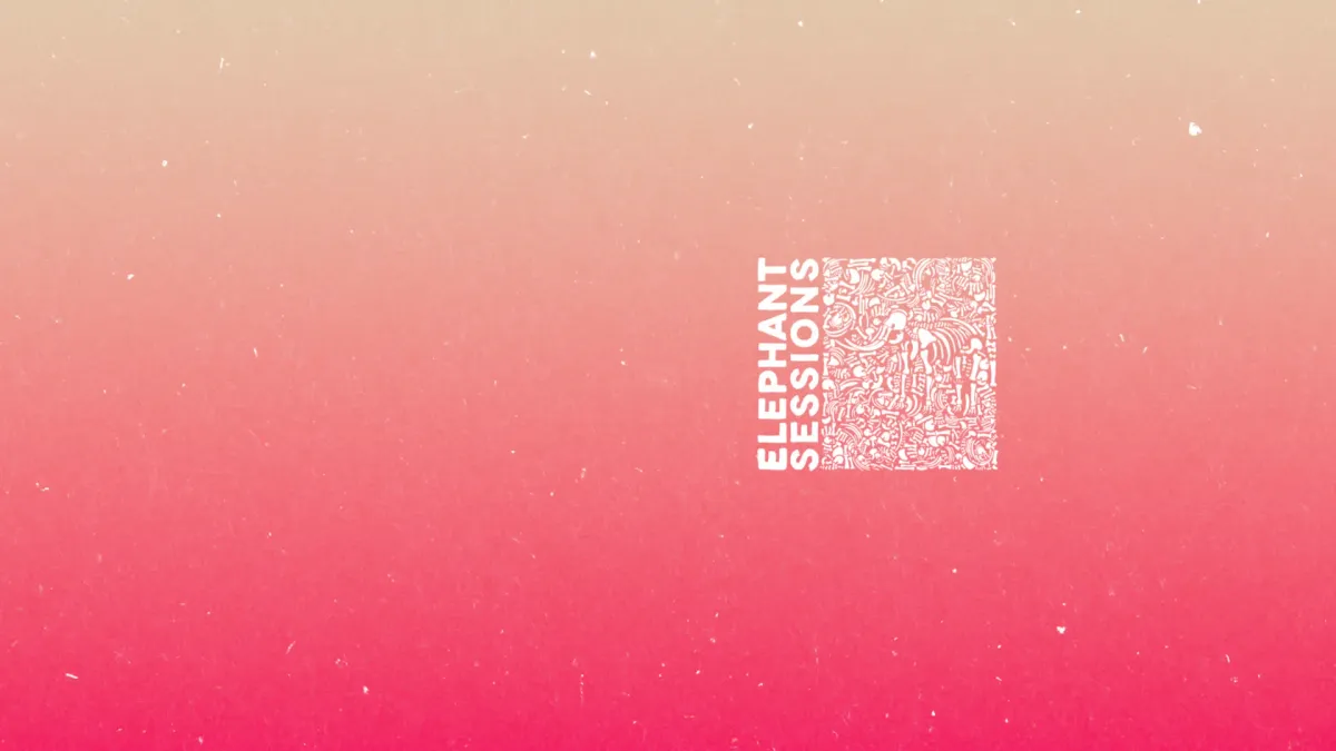 Elephant Sessions, Beluga Lagoon, Alice Faye in Edinburgh