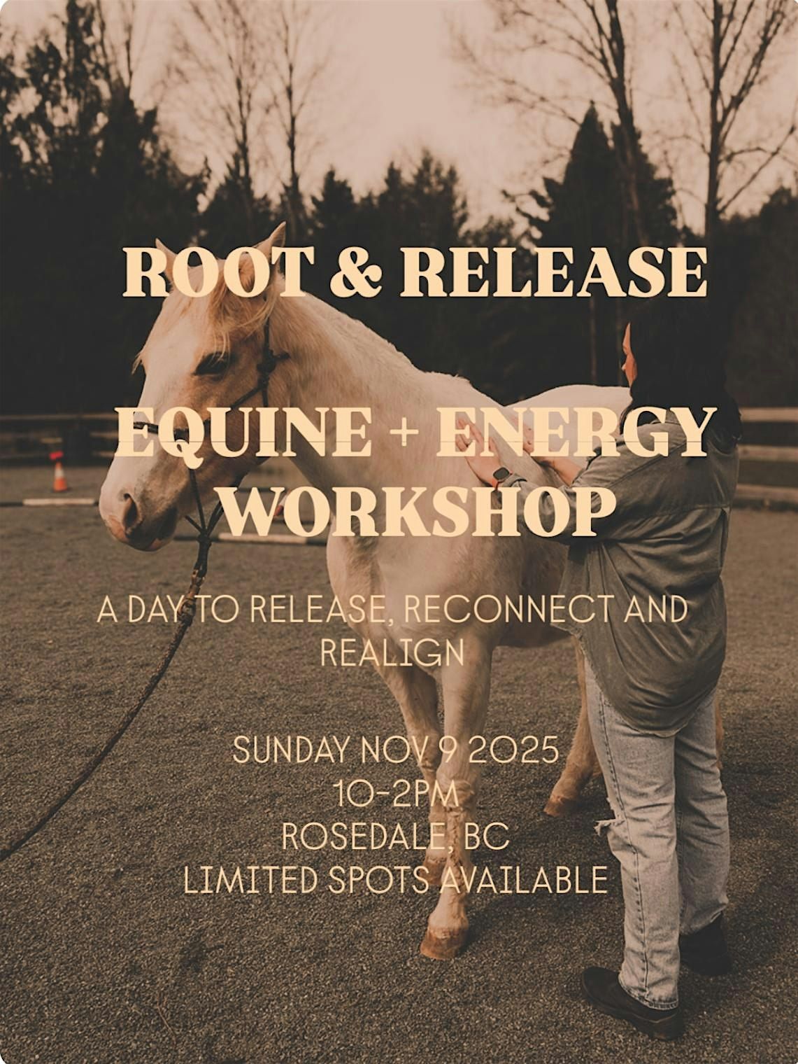 Root and Release - An Equine & Energy Workshop