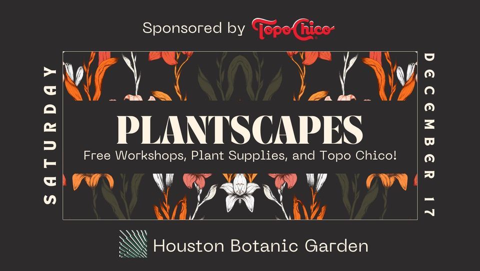 Plantscapes by Houston Plant Market