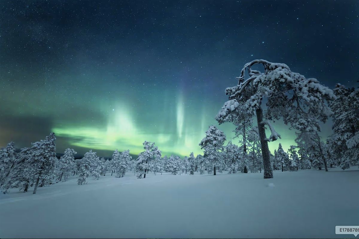 Reset & Receive: Winter Solstice TRE & Sound Healing Retreat