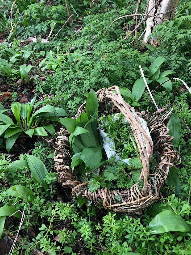 Free Foraging Walk in St Marks Park