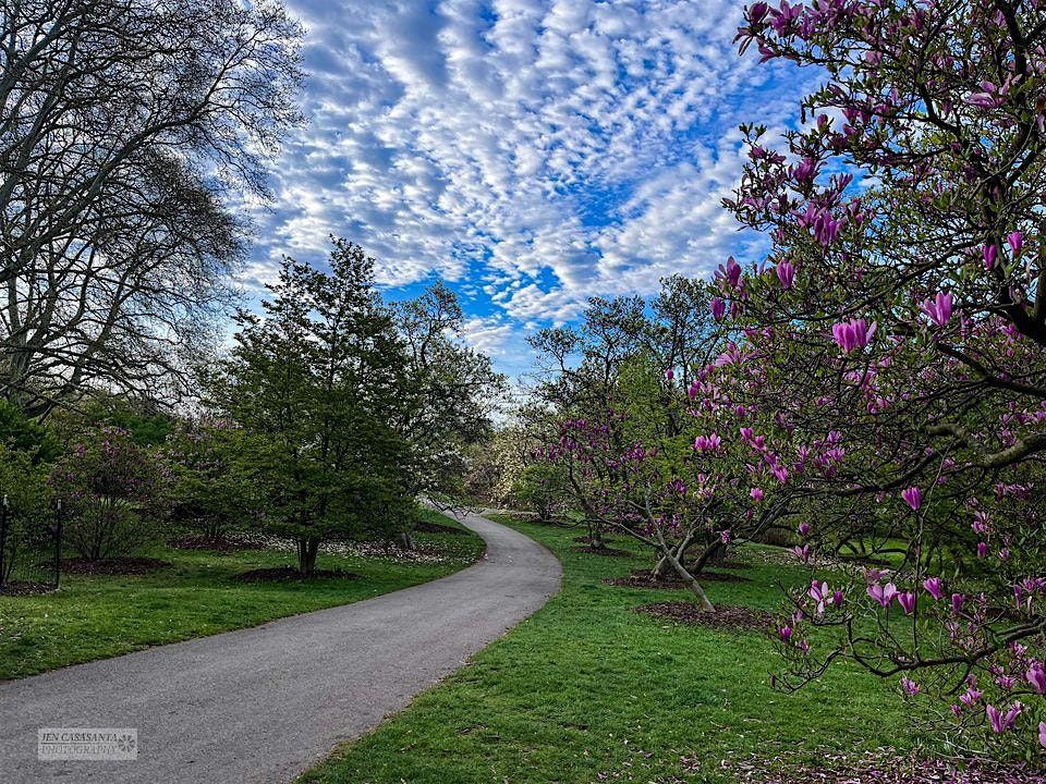 Highland Park Tour - A Botanical Oasis in the City - An Introduction