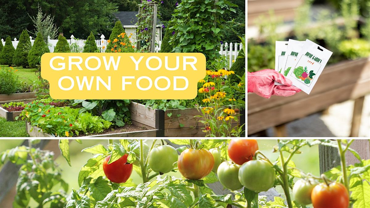 Fresh from Your Garden: Vegetable Gardening 101