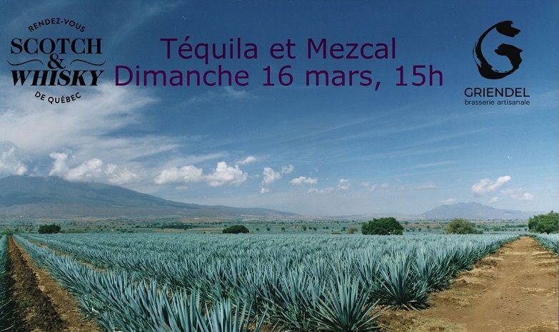 D\u00e9gustation t\u00e9quila et mezcal