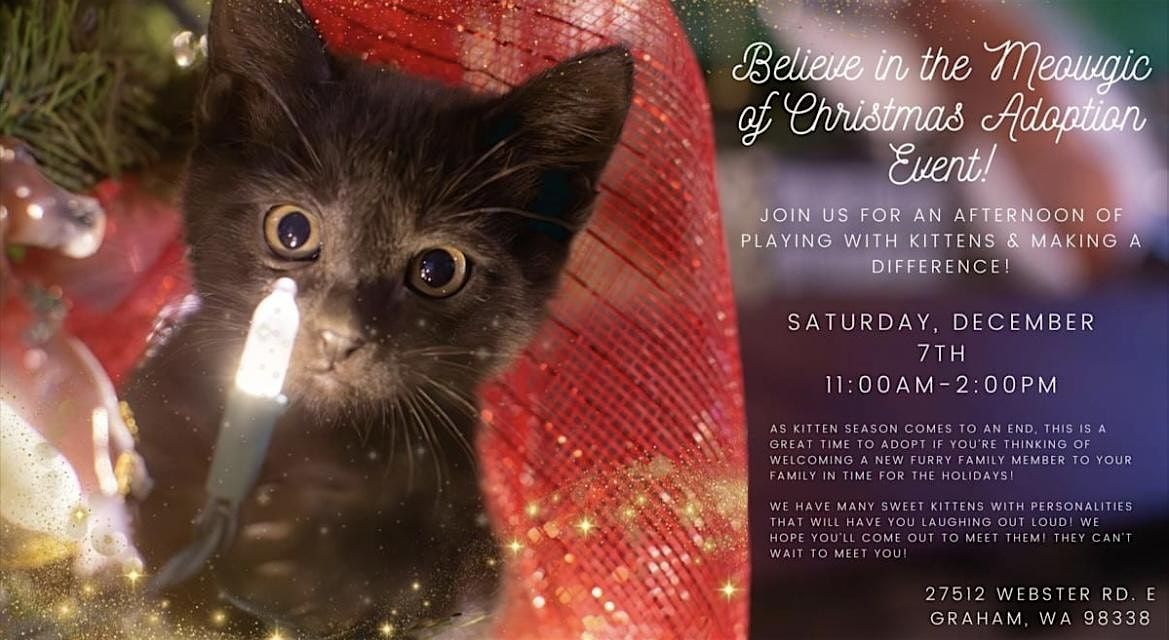 Sunny Sky\u2019s Believe in the Meowgic of Christmas Cat\/Kitten Adoption Event!