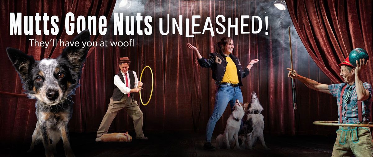 Mutts Gone Nuts- World Class Stunt Dogs in a Hilarious Variety Show