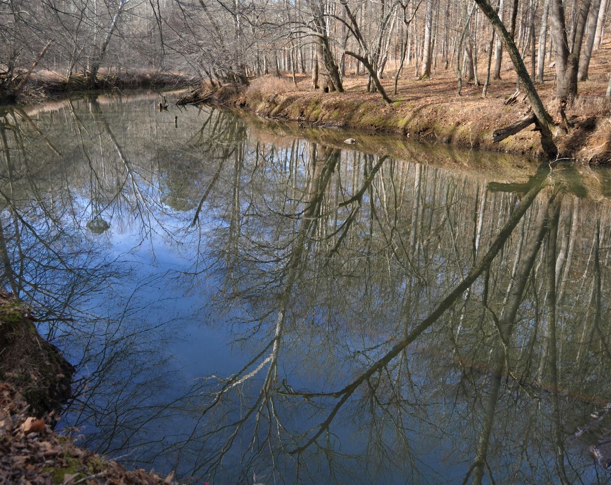 Guided History Hike - Confluence Natural Area