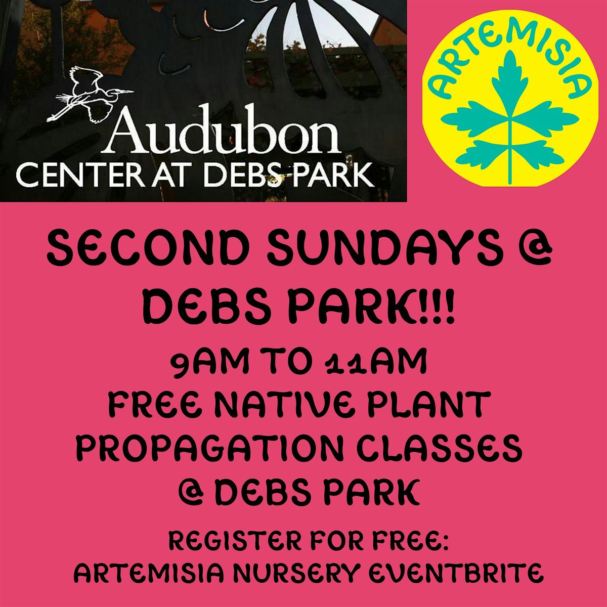 Debs Park Second Sundays! Free Native Plant Seed and Propagation Classes