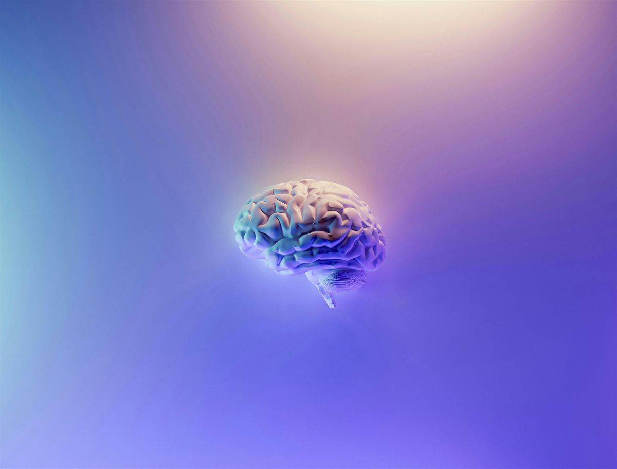 Spasticity  and rehabilitation