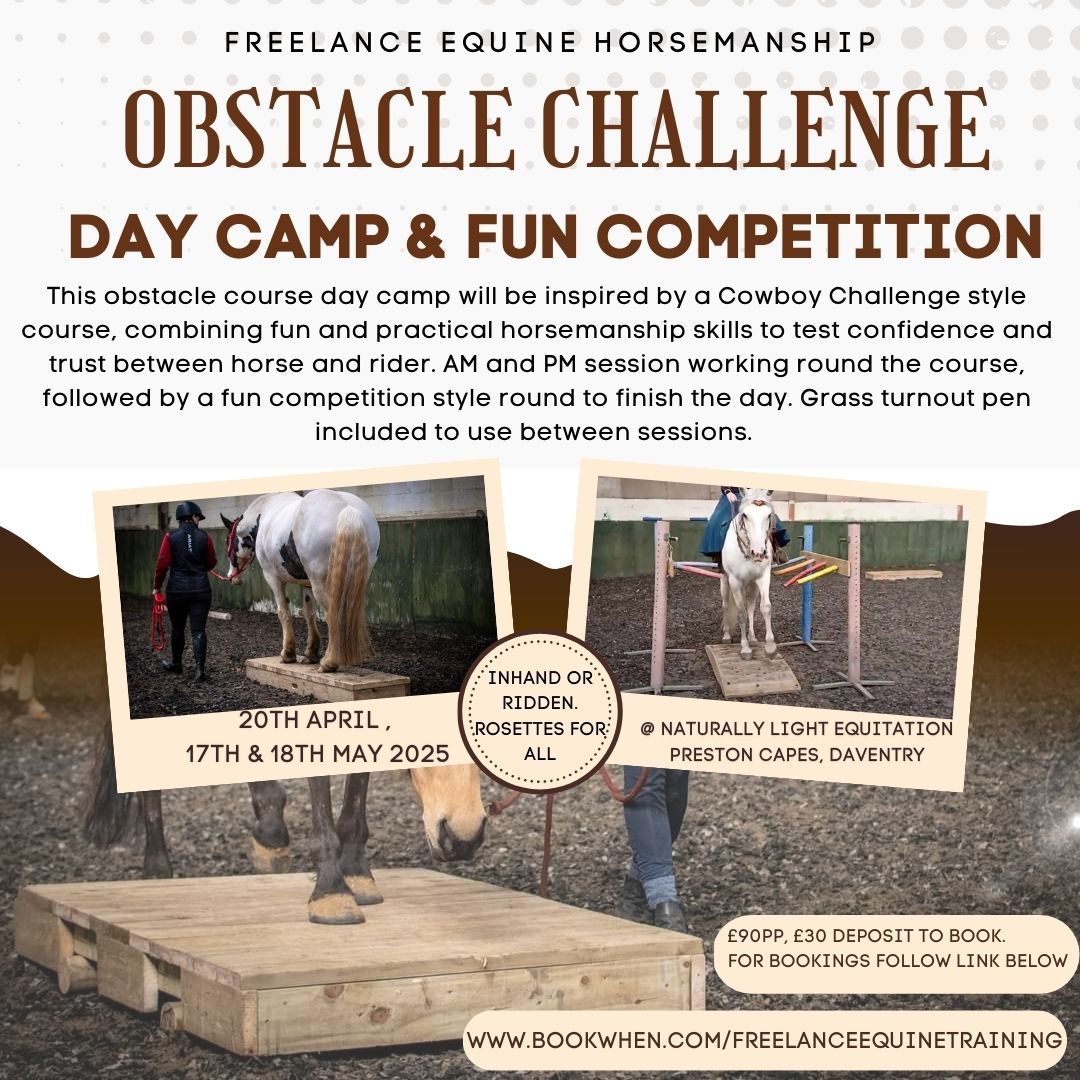 A Fun Cowboy Challenge Style Obstacle Day Camp at Naturally Light Equitation