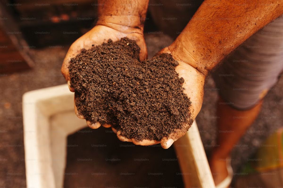 Hands-on Workshop: Soil Testing for Home Gardeners - Palo Alto