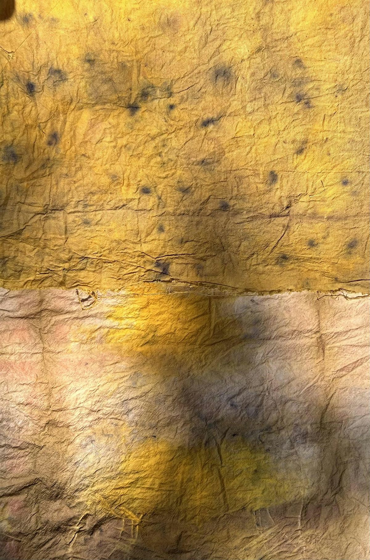 Natural Dye Workshop