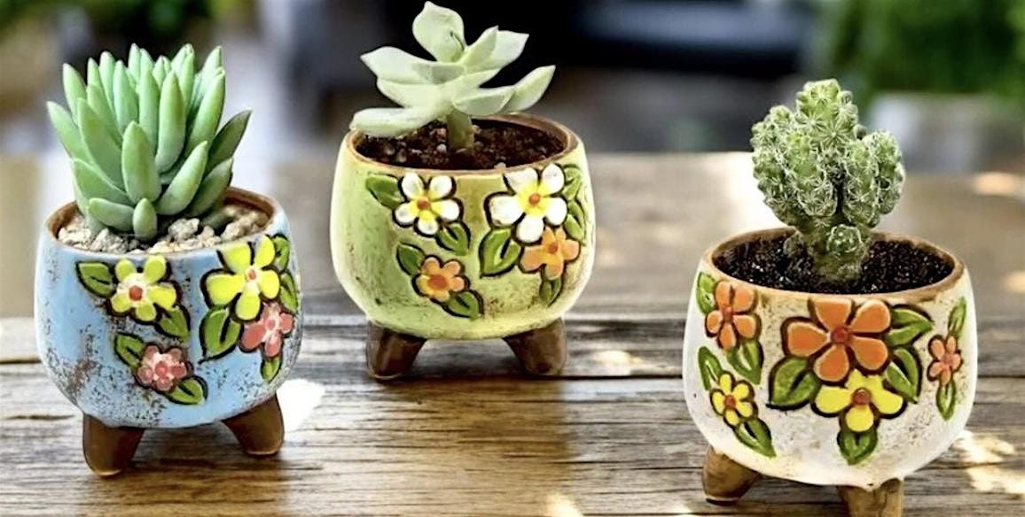 Air Plant\/Succulent Holder Pottery Class