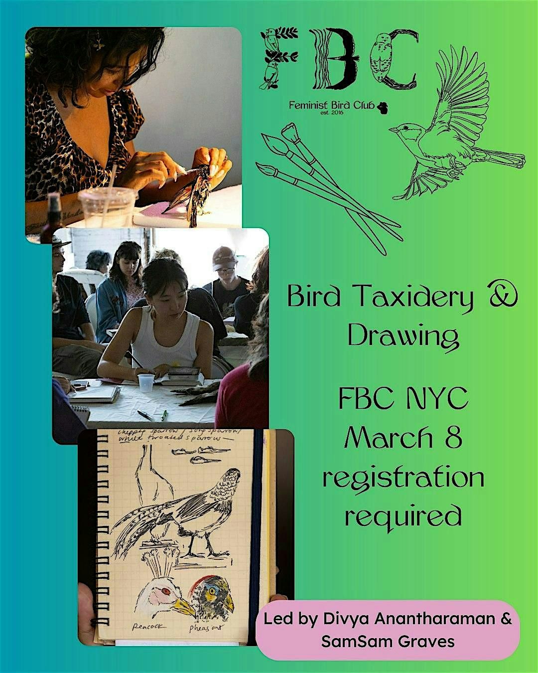 Bird Taxidermy & Drawing with Divya Anantharaman and SamSam Graves