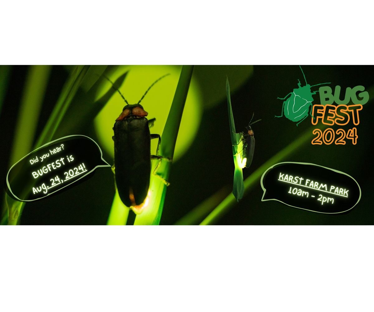 Bug Fest 2024