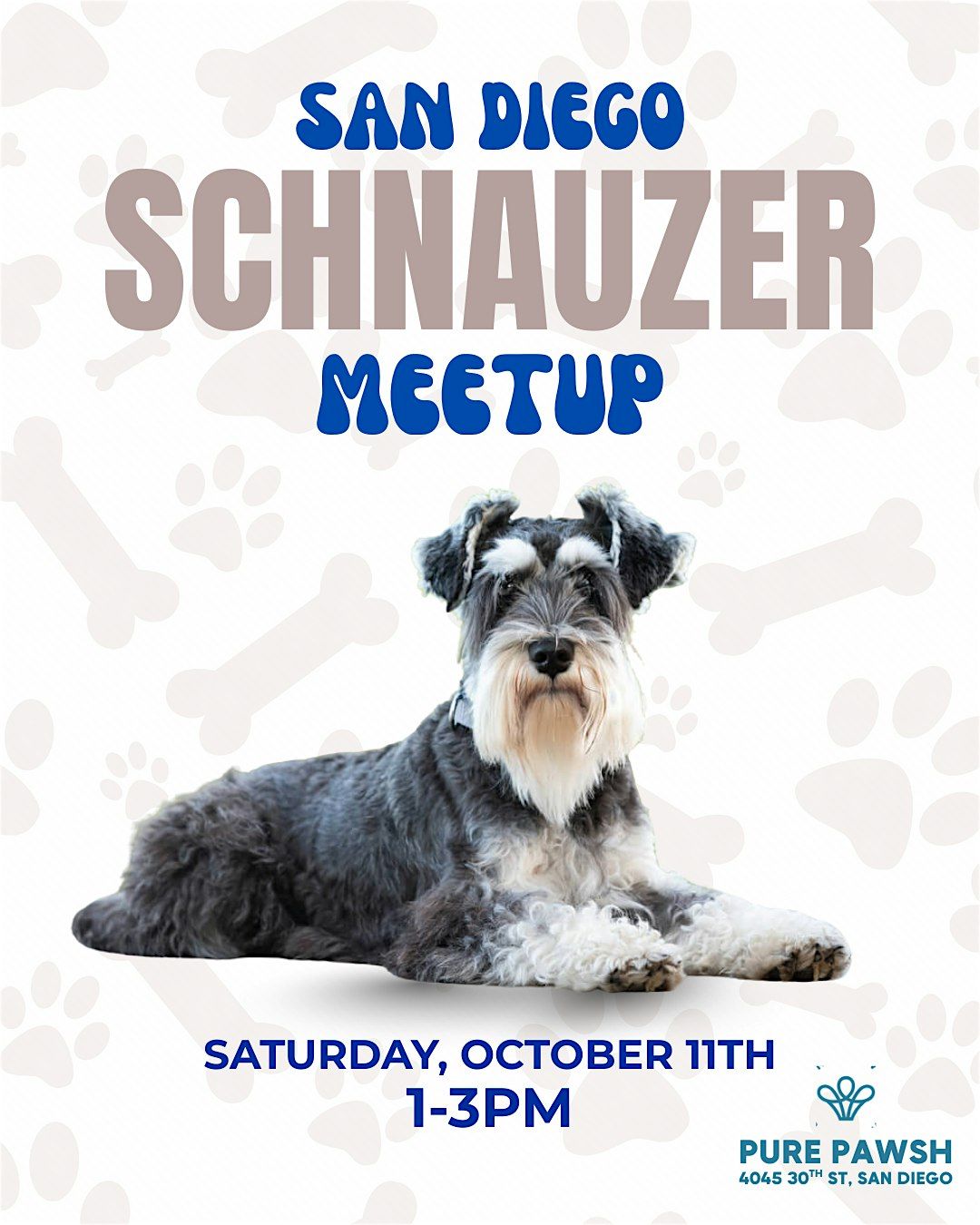 Schnauzer Meetup
